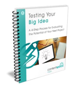 testing your big idea idea
