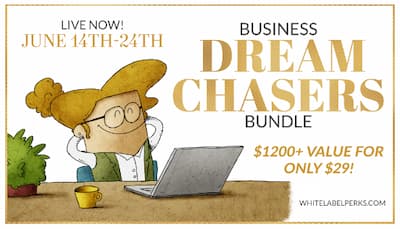business dream chasers bundle.