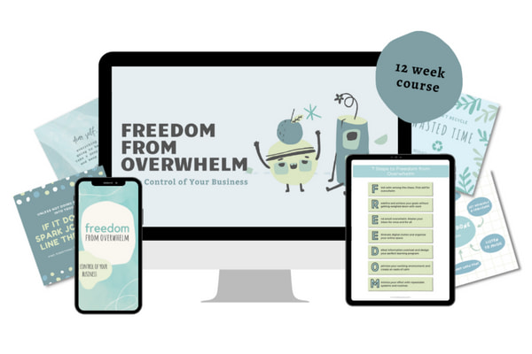 FREEDOM FROM OVERWHELM