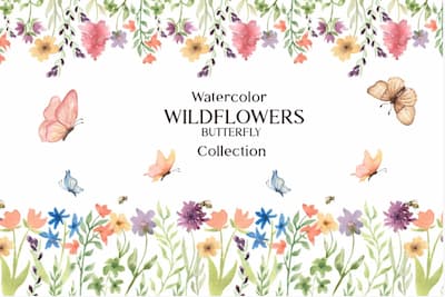 watercolor wildflower and butterfly-collection