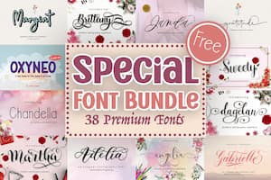 Special Premium Font Bundle Special Premium Font Bundle