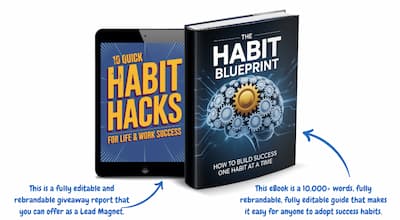 The Habit Blueprint