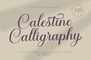 Calestine Calligraphy Font
