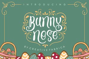 Bunny Nose font