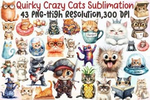 Quirky Crazy Cats