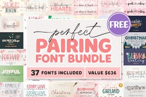 Perfect Pairing Font Bundle