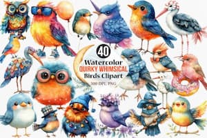 Watercolor Quirky Whimsical Birds Watercolor Quirky Whimsical Birds