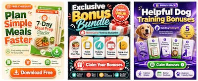 Flashy Promo Graphics