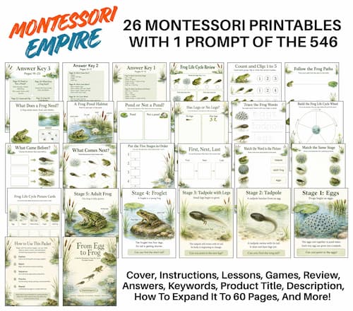Montessori School Empire Montessori School Empire