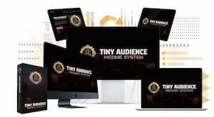 Tiny Audience Income System Tiny Audience Income System