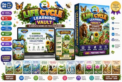 Life Cycle Learning Vault Life Cycle Learning Vault