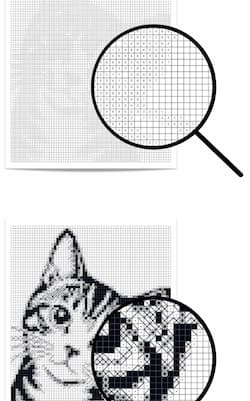 Monochrome Mosaic Monochrome Mosaic
